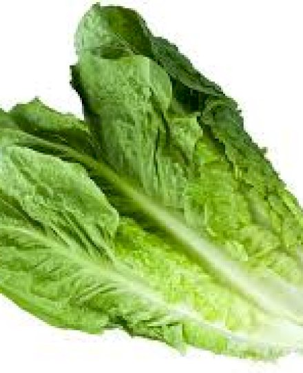 Lettuce & Leafy Vegetables