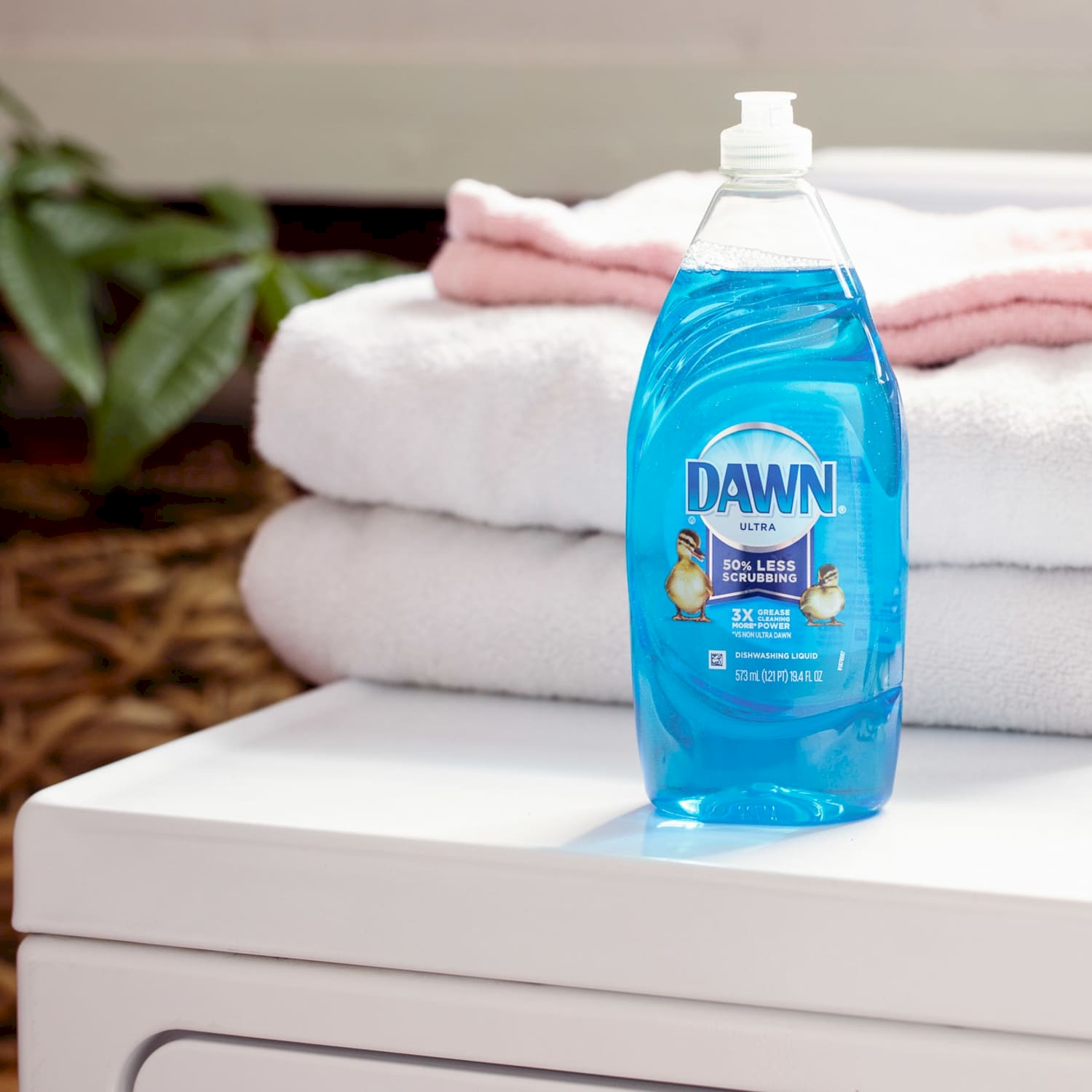 Dish Detergent