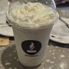 SR1P0001